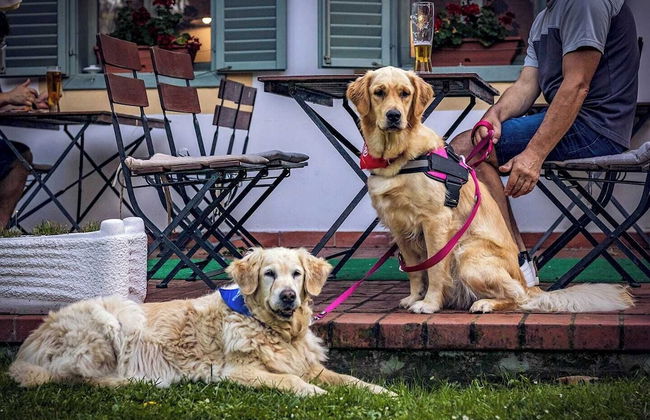 Abbázia Country Club - Foto 40