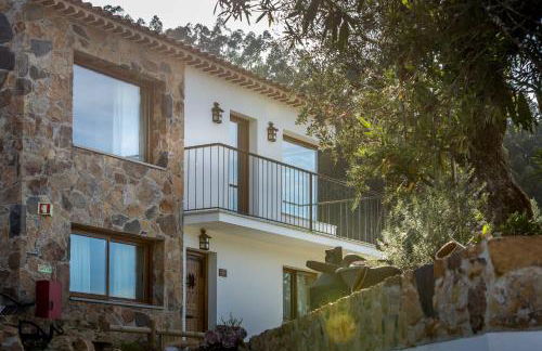 Reinado de Dom Dinis - Foto 121