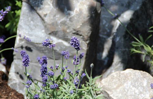 Ferienhof Zum Sagschneider - Foto 14