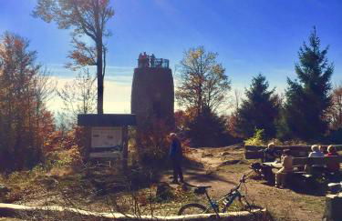 Quellenhof Kollnburg - Foto 10