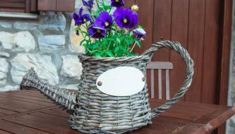 Guesthouse Machi - Foto 3