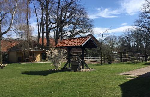 Süßes Fachwerkhaus mit großem Garten - Photo 9