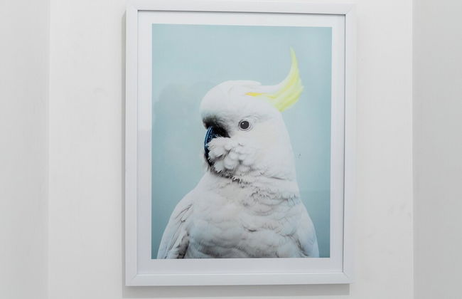 2 Bed Flat with Parking Near Waterfront - Foto 45