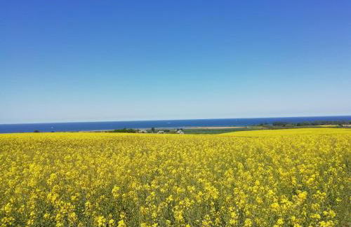 Häuschen im Grünen - Foto 13