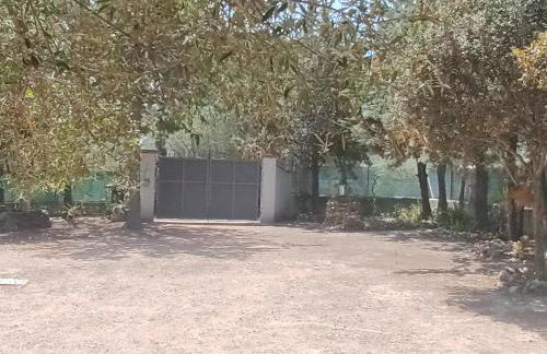 Casa vacanze Berchida - Foto 13