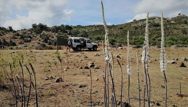 Tour en 4x4 por el golfo de Orosei - Photo 4