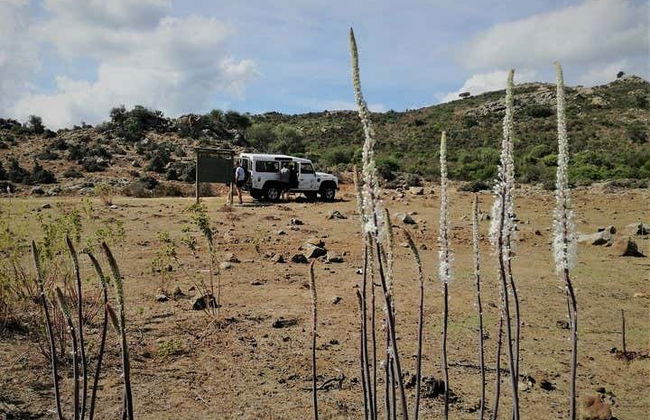 Tour en 4x4 por el golfo de Orosei - Photo 4