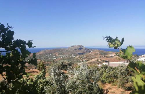 Arodamos Residence Mariou - Photo 26