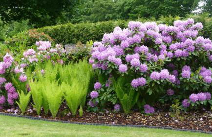 Lieblingsort am Moor - Foto 10