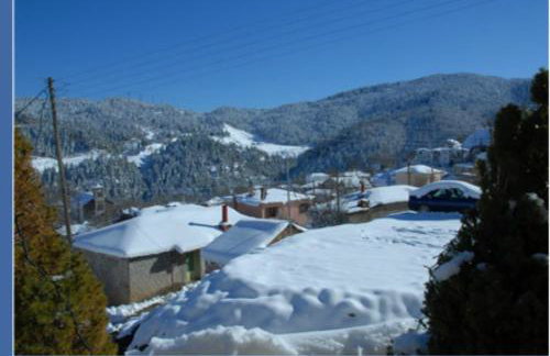 Petrino Rodo - Foto 23