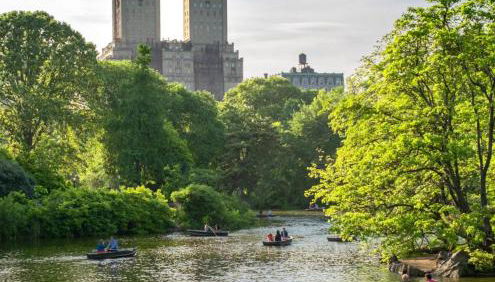 Private Room with Shared Bathroom at an Apartment by Times Square - Photo 4