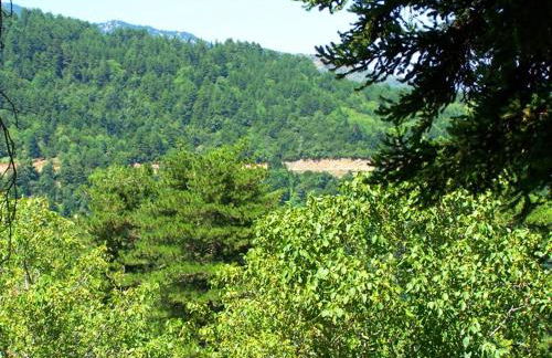 Kastorio-Villy's Guest House - Foto 69