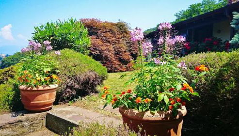 Casa Elena - Foto 3, Garden