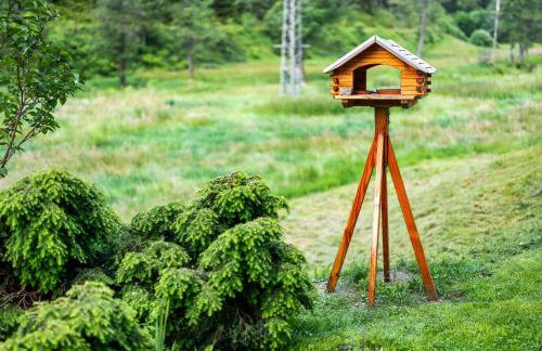 Haus Gisela - Photo 52