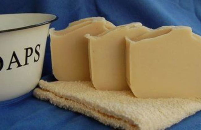 The Cabins at Healing Springs - Foto 33