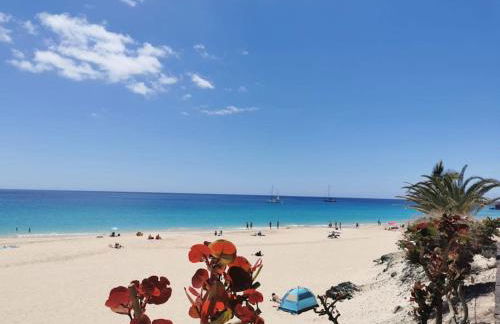 Montes Blancos - Photo 31