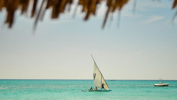 Cruise Seeview from the Ocean of Stone Town - Photo 3