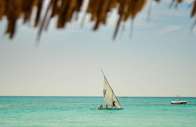 Cruise Seeview from the Ocean of Stone Town - Photo 3