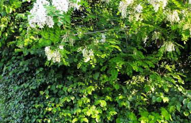 La Colombara - Fra i colli a 5 minuti dall'autodromo - Foto 31