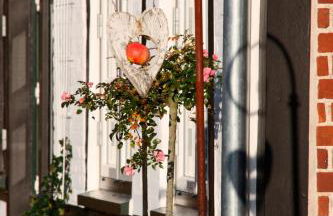 Ferienwohnung "Strandkorb" - Foto 6