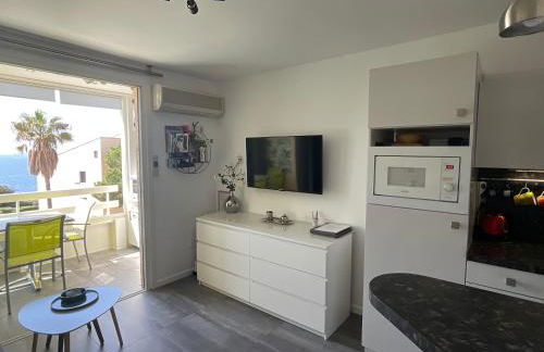 Domaine de La Coudouliere, Vue Mer, Plage, Piscine et Parc - Foto 7