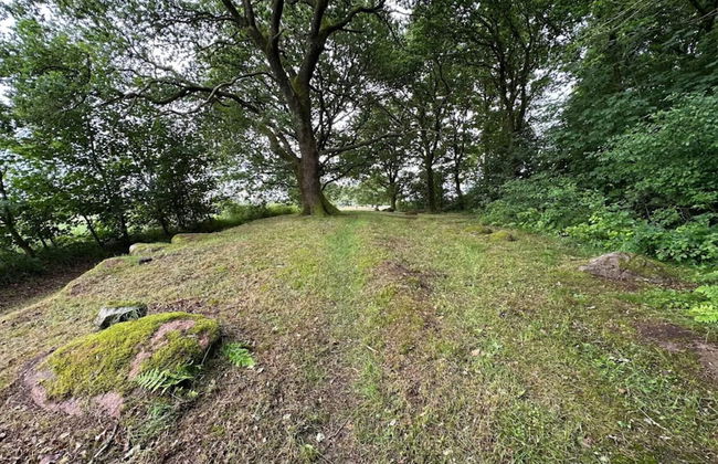 5 Star Holiday Home in Hovborg - Foto 18