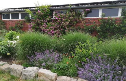 Wohlfühlurlaub auf dem Reit- und Ferienhof Goldberg - Foto 49