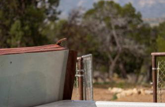 Ranch at Mesa Verde - Foto 6