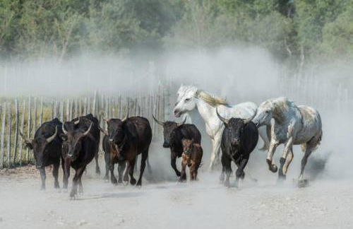 LE REGORDANE - Appartement 4 personnes - Centre WiFi Cosy - Foto 33