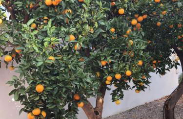 Casa Le Site con giardino - Foto 24