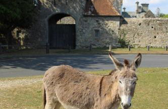 Bessie May Cottage - Foto 52