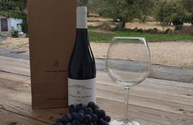 Fabulous 5 BR hidden gem Serra da Estrela - Foto 2