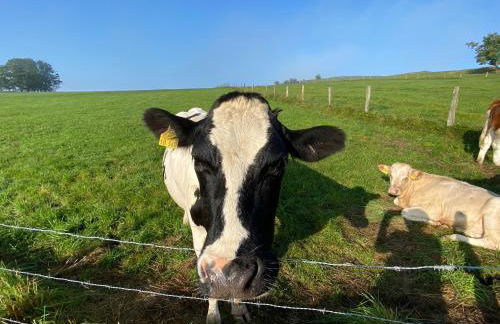 Waldläufer Brilon - Foto 63