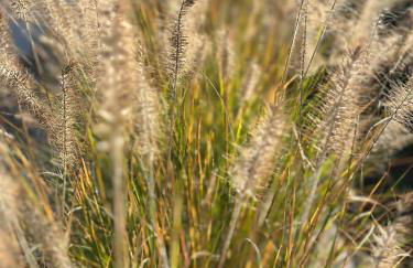 Ferienwohnung Forstblick - Foto 20