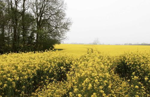 Reetdachkaten in Schuby, Ostsee - Foto 25