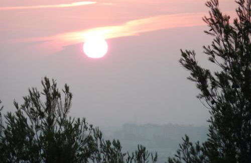 Casal das Oliveiras - Foto 74