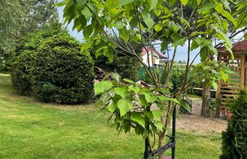 Miętowy Domek Trzebawie - Foto 43