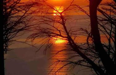 Ocean View with hot tub - Foto 9