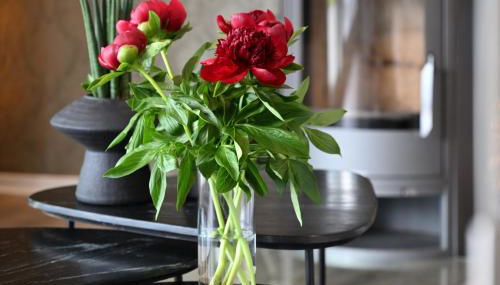 Traumhaus mit Fördeblick - FÖRDE-ANKER - Foto 5