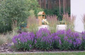 Przystań 46 - Foto 50