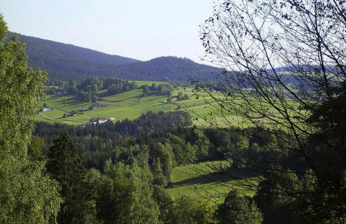 Blockhaus in Rinchnach mit Panoramablick - Foto 46