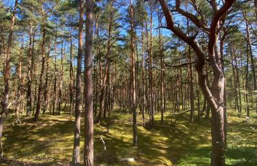 sobiechill - Photo 13