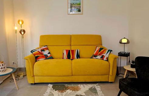 Séjour vigne et château Vouvray - Maison terrasse - Foto 15