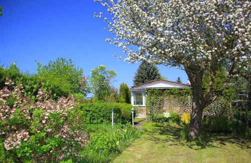 Mitten im Seenland und Spreewaldnah, schöner Garten - Foto 30