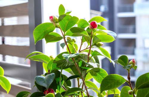 Beautiful 2 bedroom in Palaiseau Ideal for professionals - Foto 58