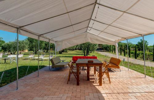 Fattoria Mantellassi - Photo 6