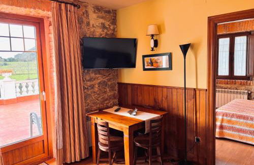 Apartamentos Villa Fresnedo - Foto 47