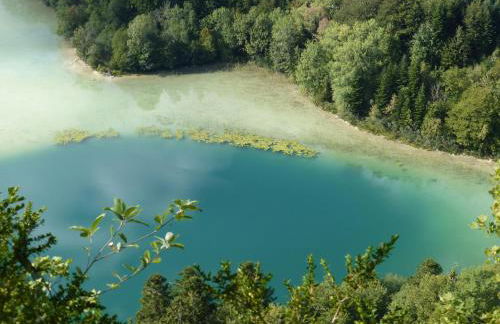 LE BON ABRI JURA - Foto 13