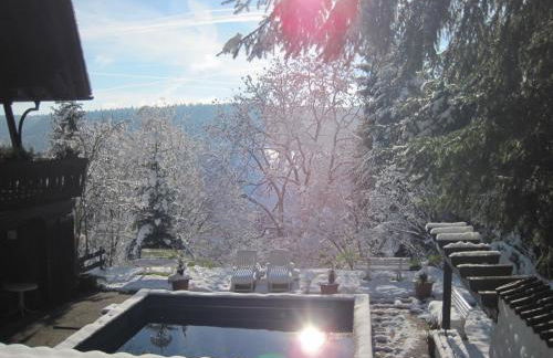 Appartementhaus Schwarzwaldblick - Foto 58