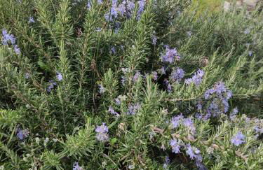 El rincón de Soto - Foto 44